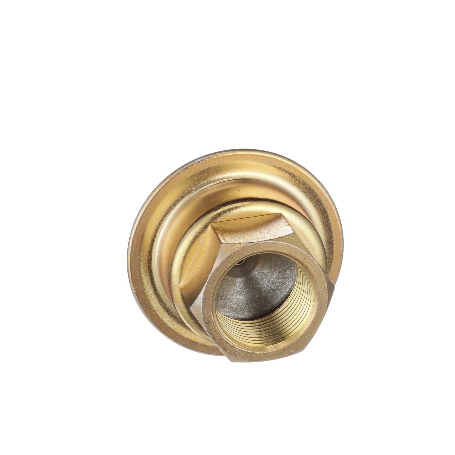 Standard Ignition Secondary Air Injection Pump Check Valve AV12