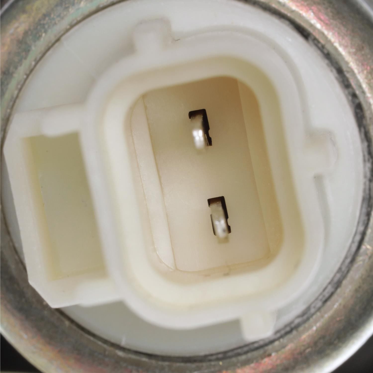 Standard Ignition Vapor Canister Vent Solenoid CVS24