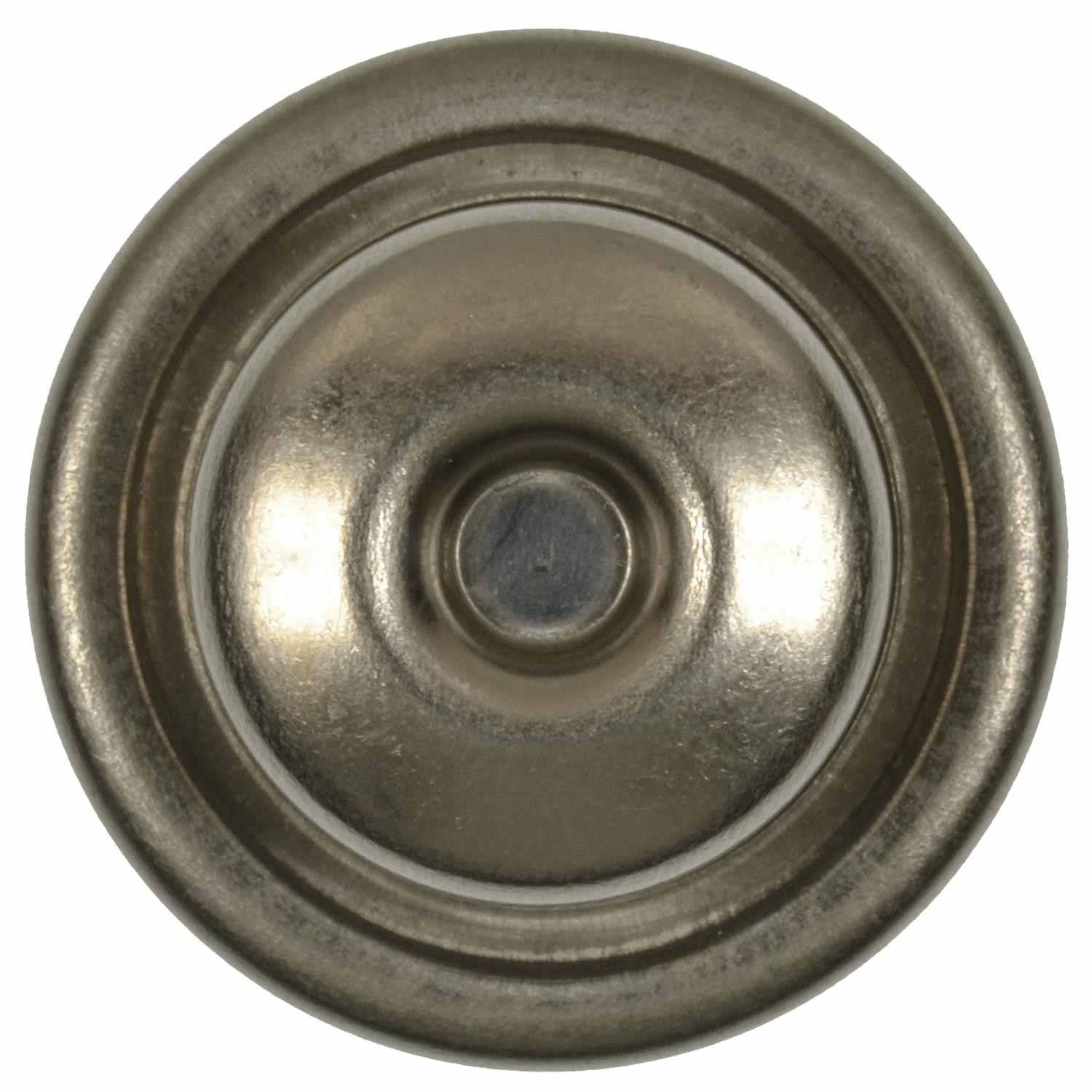 Intermotor Fuel Injection Pressure Damper FPD56