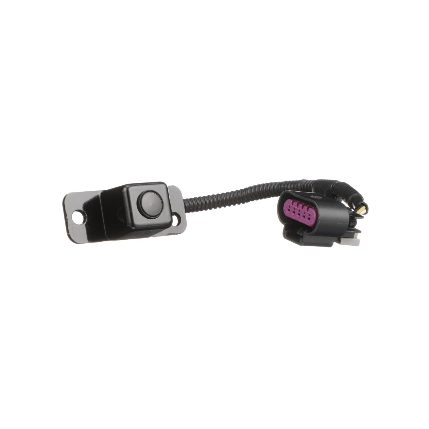 Standard Ignition Park Assist Camera PAC185