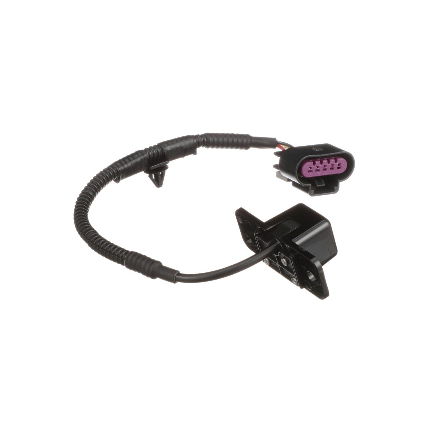 Standard Ignition Park Assist Camera PAC185