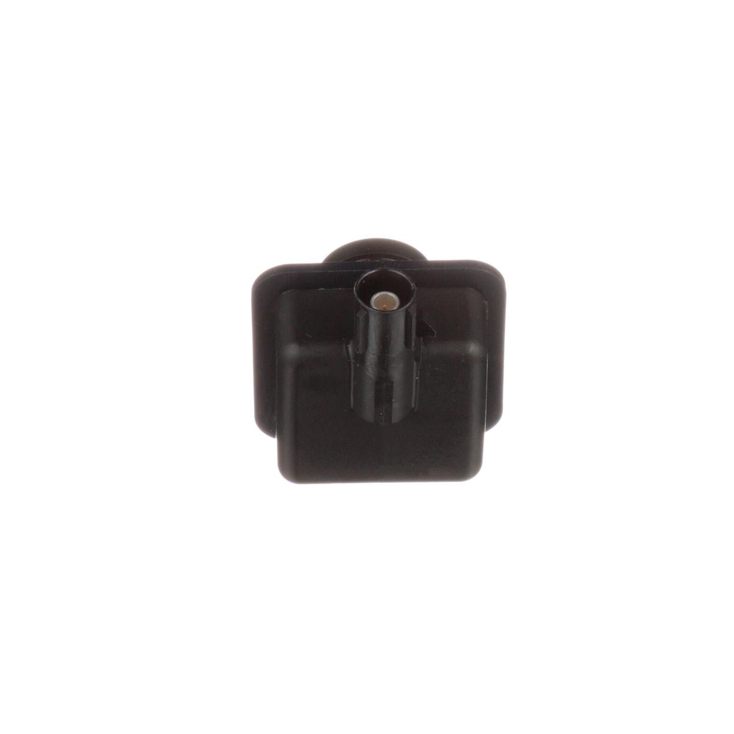 Standard Ignition Park Assist Camera PAC261