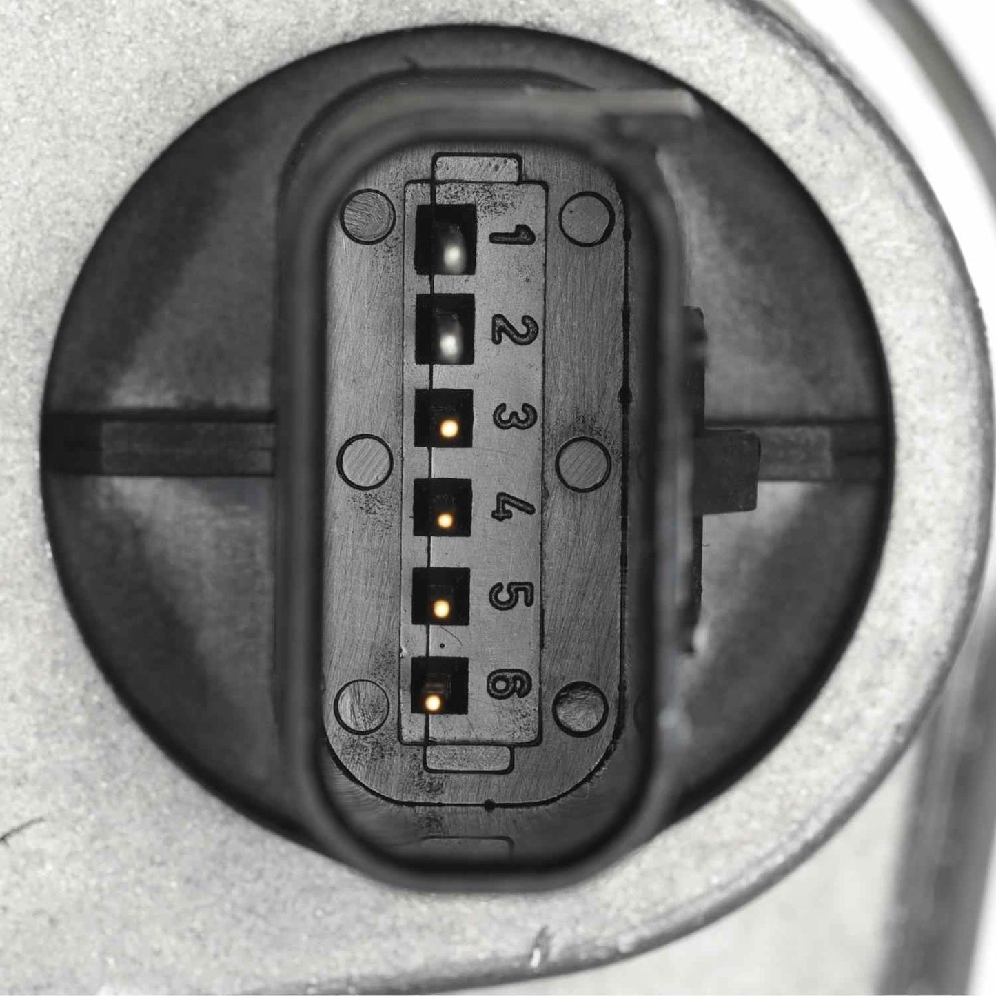 Standard Ignition Fuel Injection Throttle Body S20028