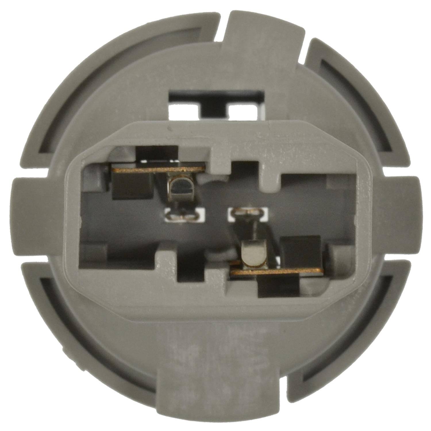 Intermotor Back Up Light Socket S2566