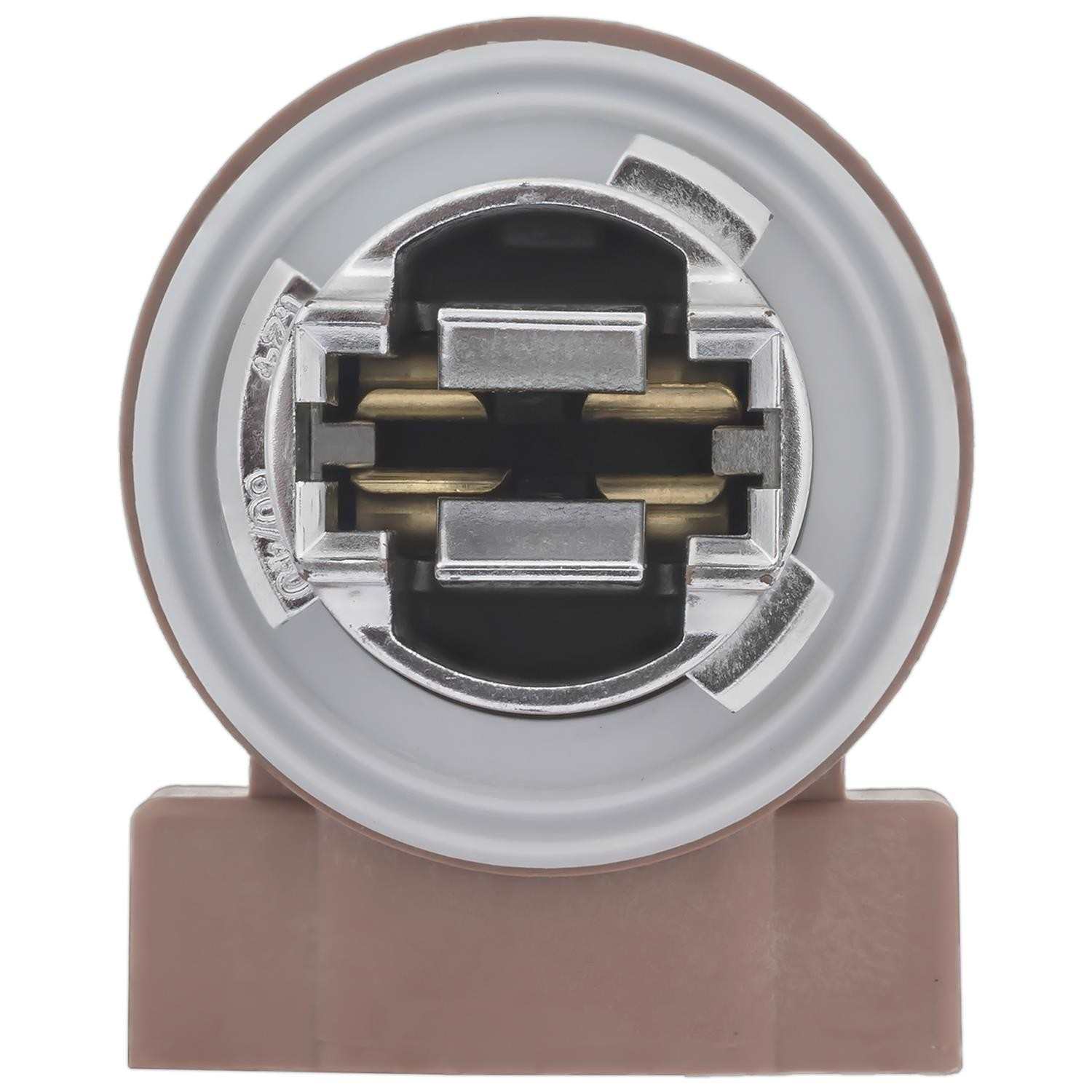 Standard Ignition Back Up Light Socket S2606