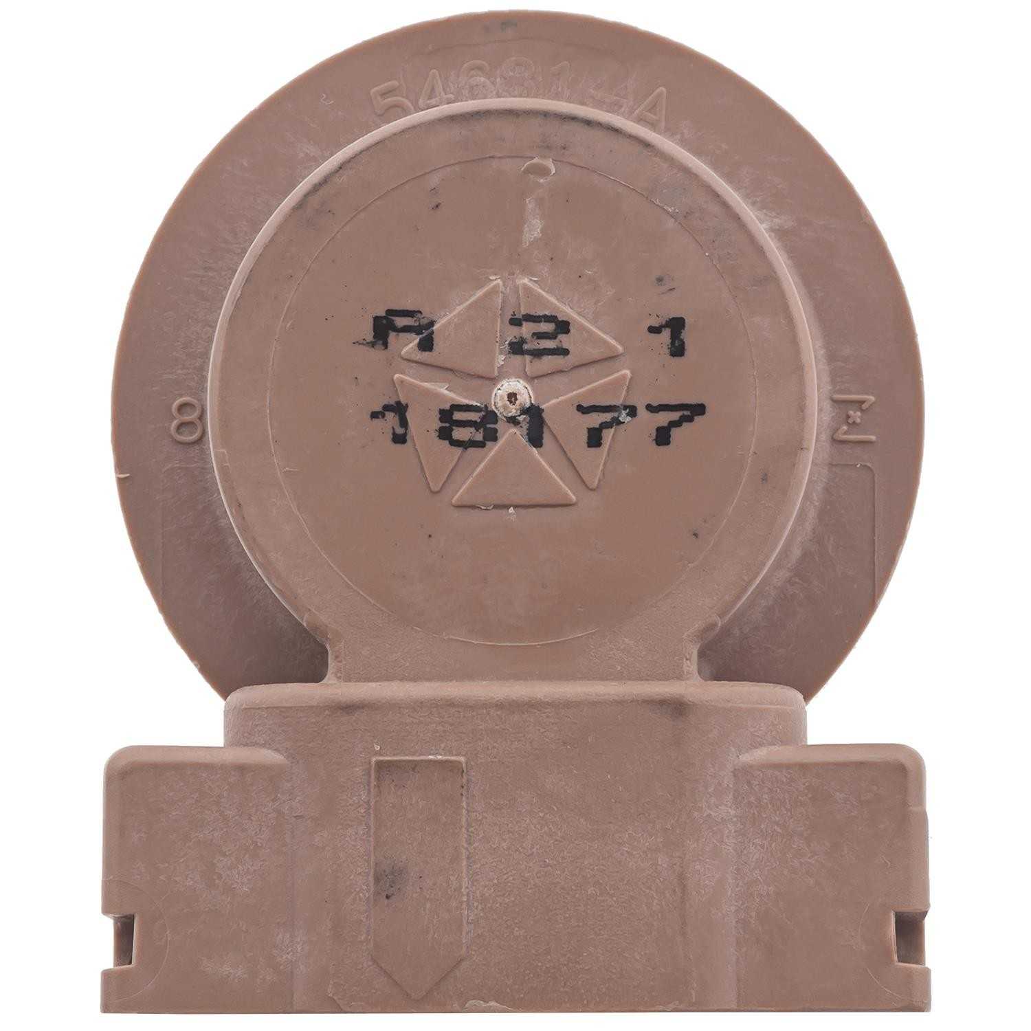 Standard Ignition Back Up Light Socket S2606