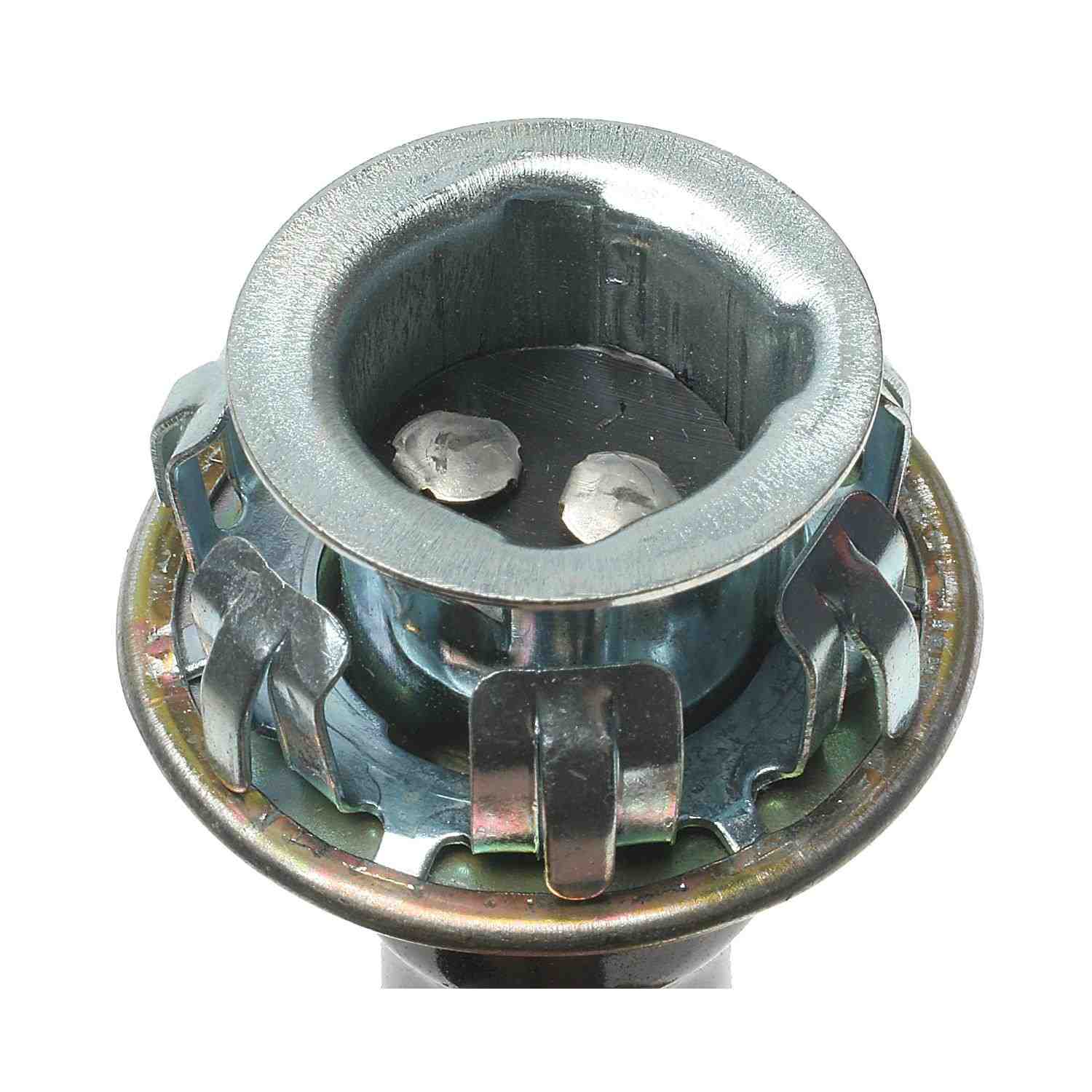 Standard Ignition Multi-Purpose Light Bulb Socket S-773
