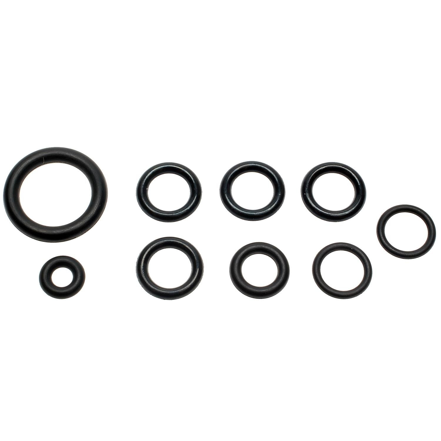Standard Ignition Fuel Injection Fuel Rail O-Ring Kit SK24