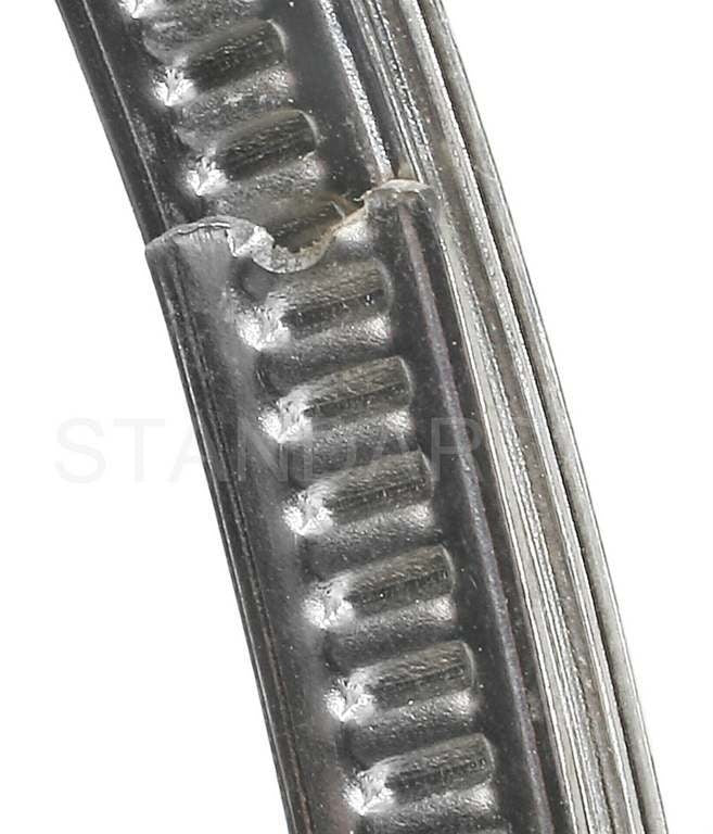 Standard Ignition Tire Pressure Monitoring System Sensor Mounting Band TPM1194