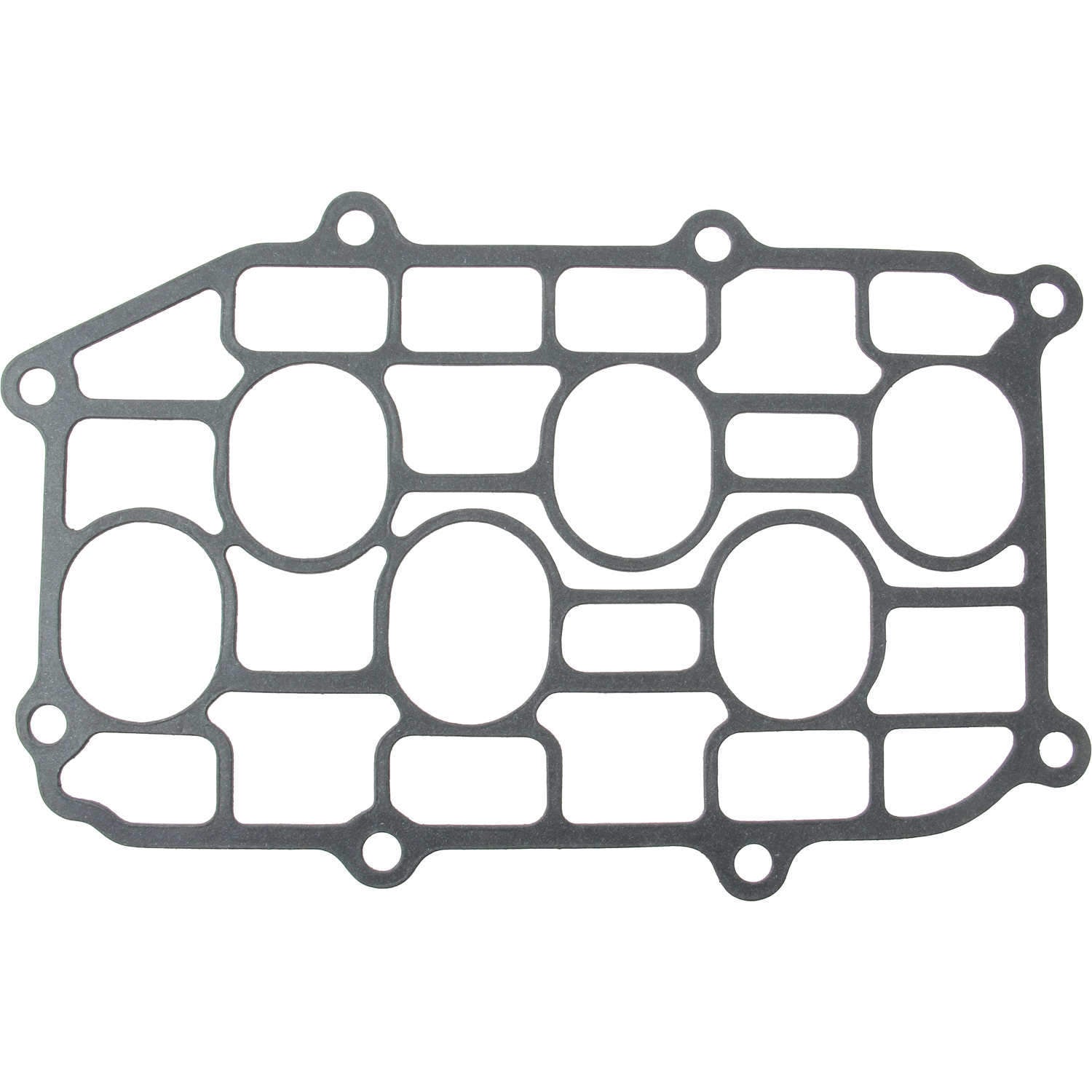 Stone Fuel Injection Plenum Gasket