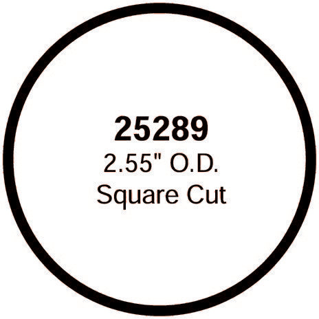 Stant 25289