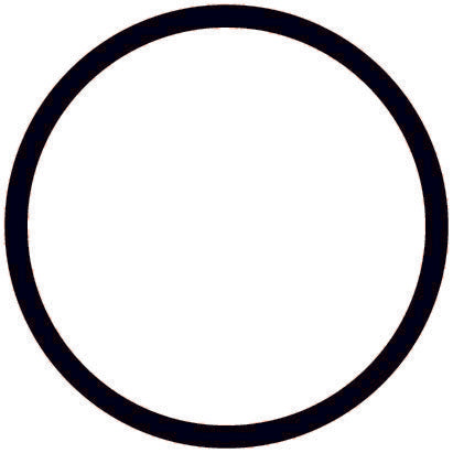 CARQUEST Caps and Stats Engine Coolant Thermostat Seal 27290