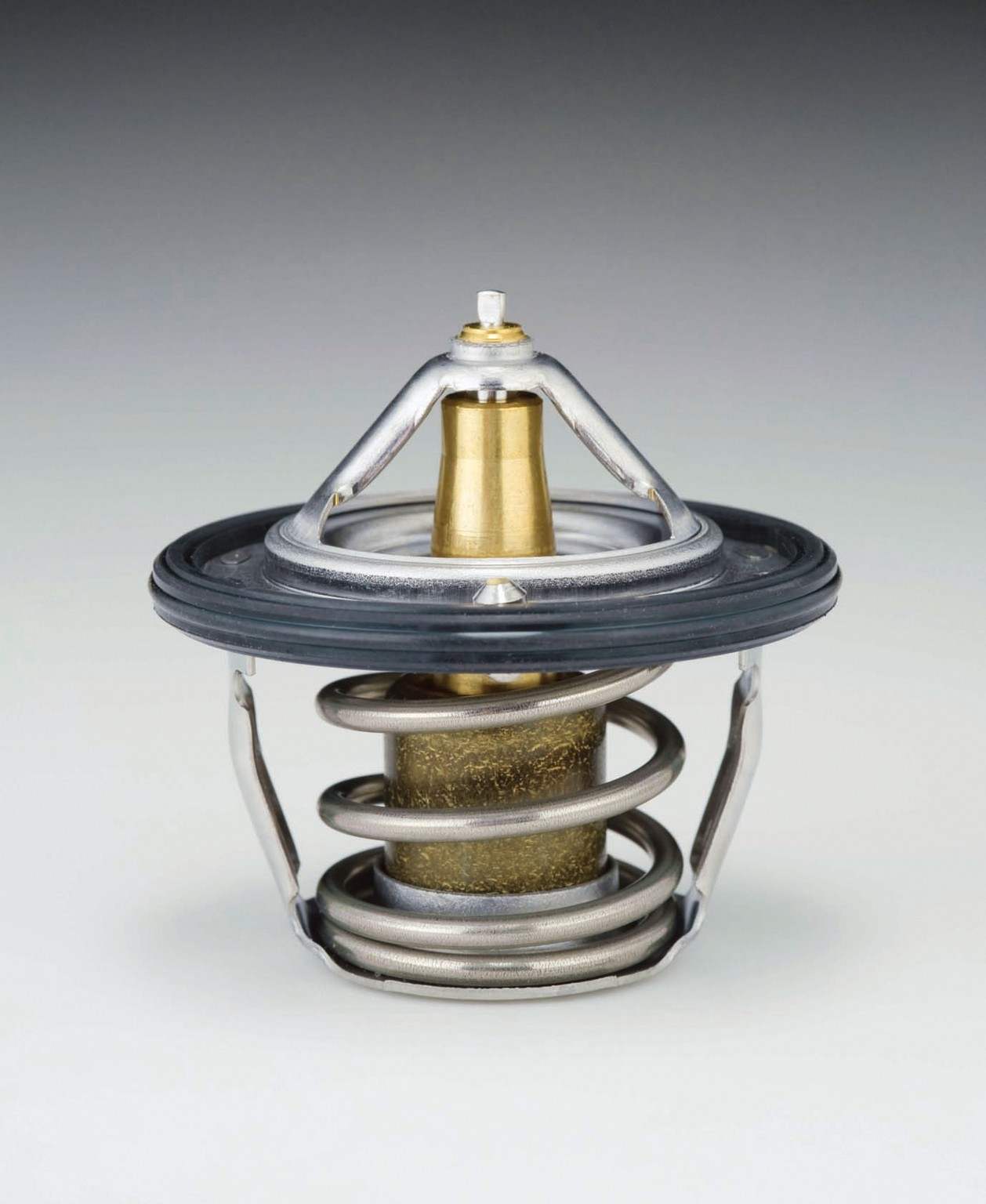 Tama Engine Coolant Thermostat