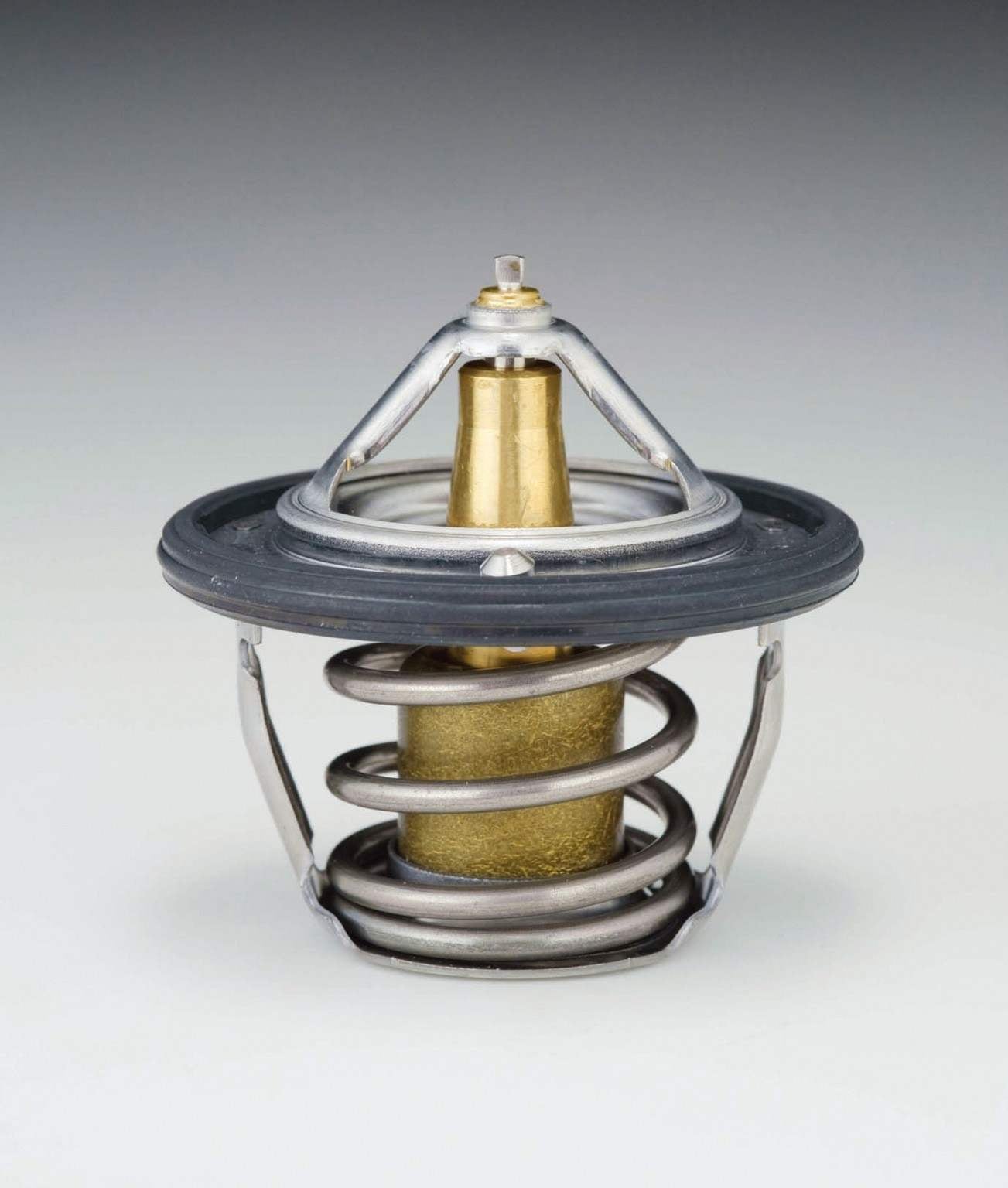 Tama Engine Coolant Thermostat