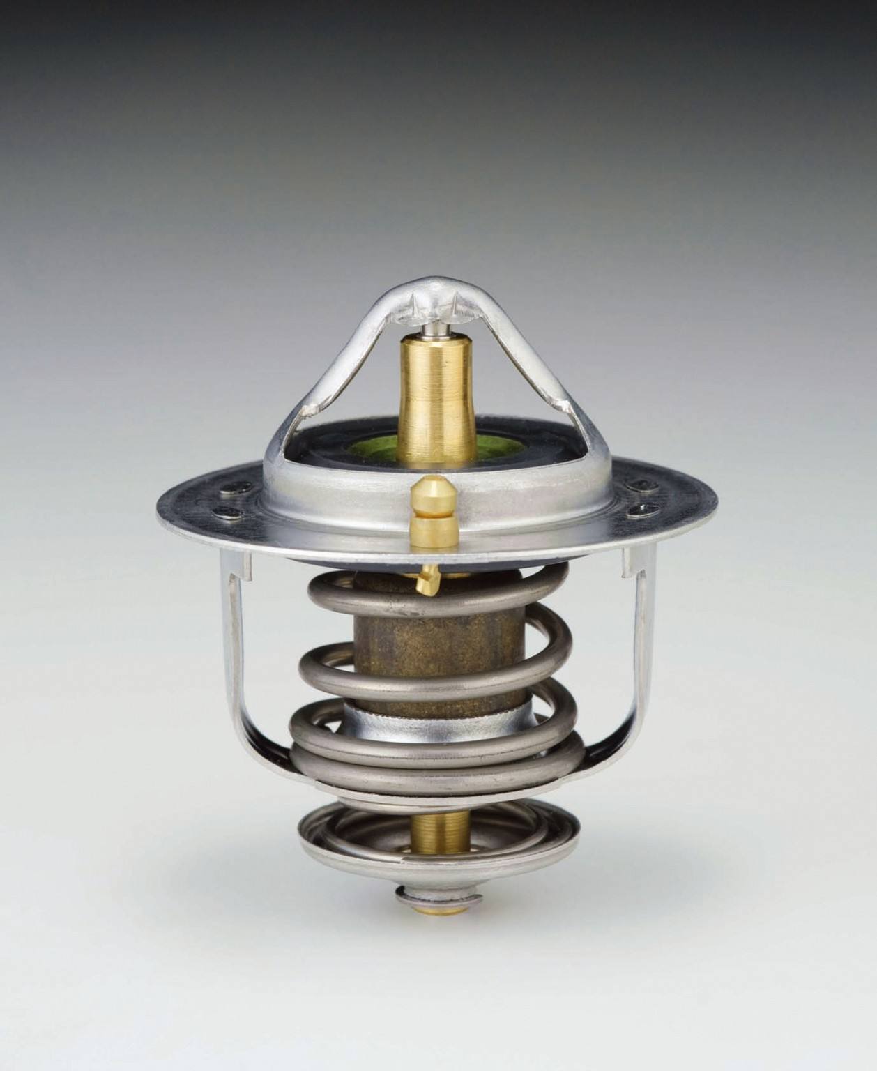 Tama Engine Coolant Thermostat