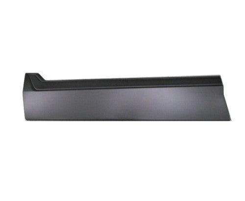 Collision Door Molding HO1304110 main image