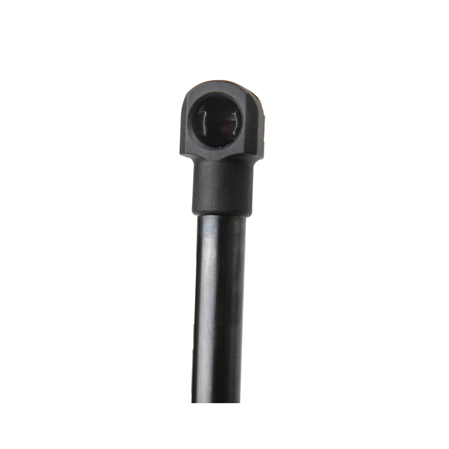 Tuff Support Hatch Lift Support