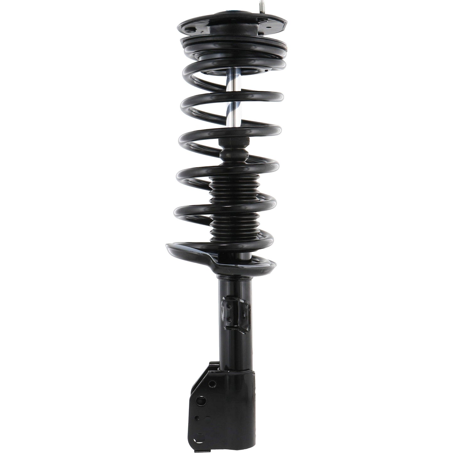 Monroe Shocks & Struts Suspension Strut and Coil Spring Assembly 272218