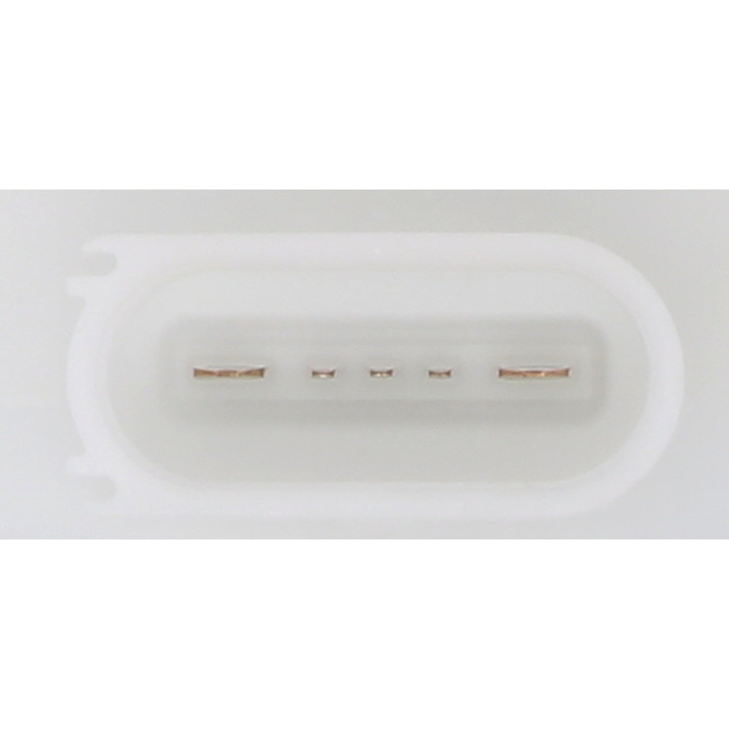 Continental Fuel Pump Module Assembly 228-235-070-001Z