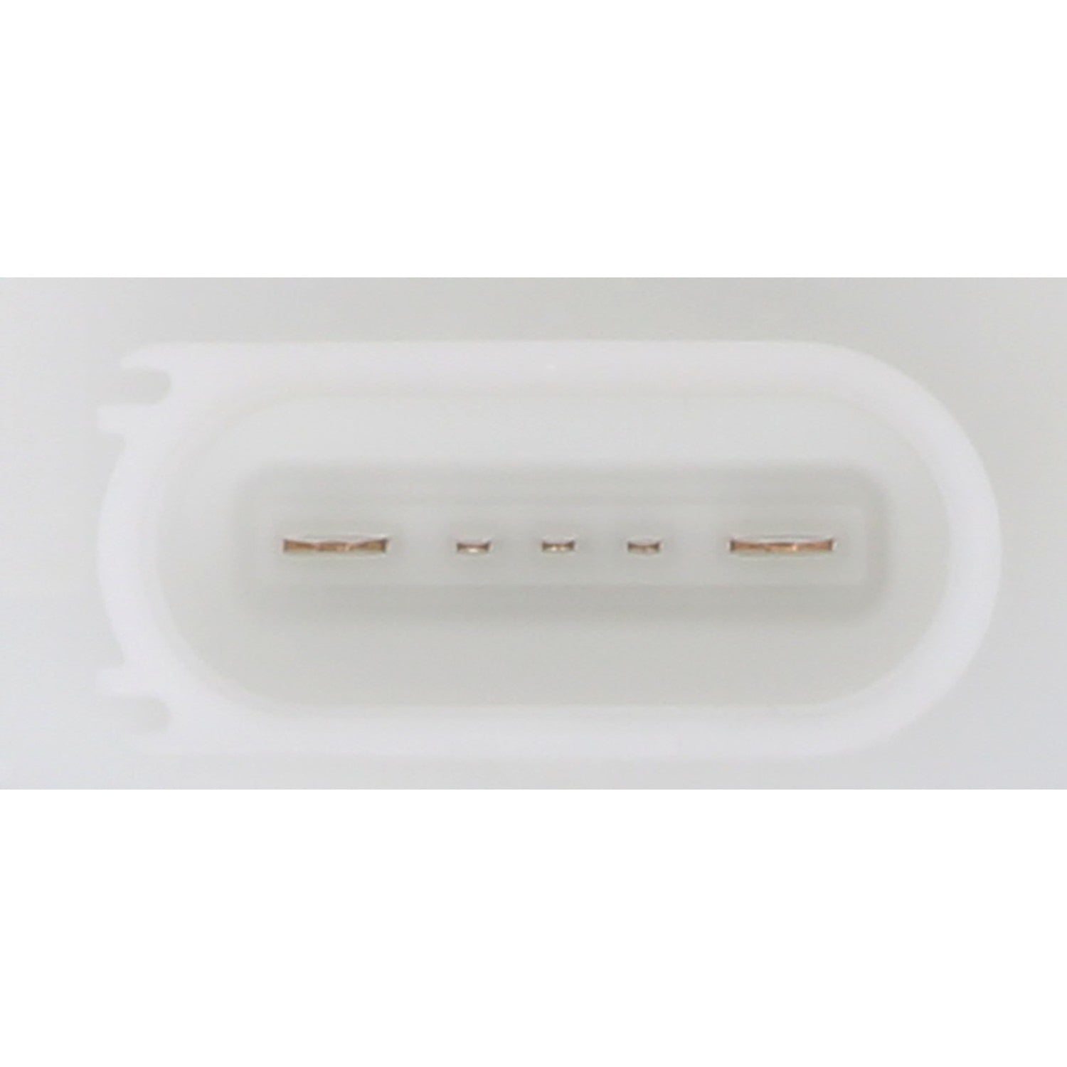 Continental Fuel Pump Module Assembly 228-235-070-001Z