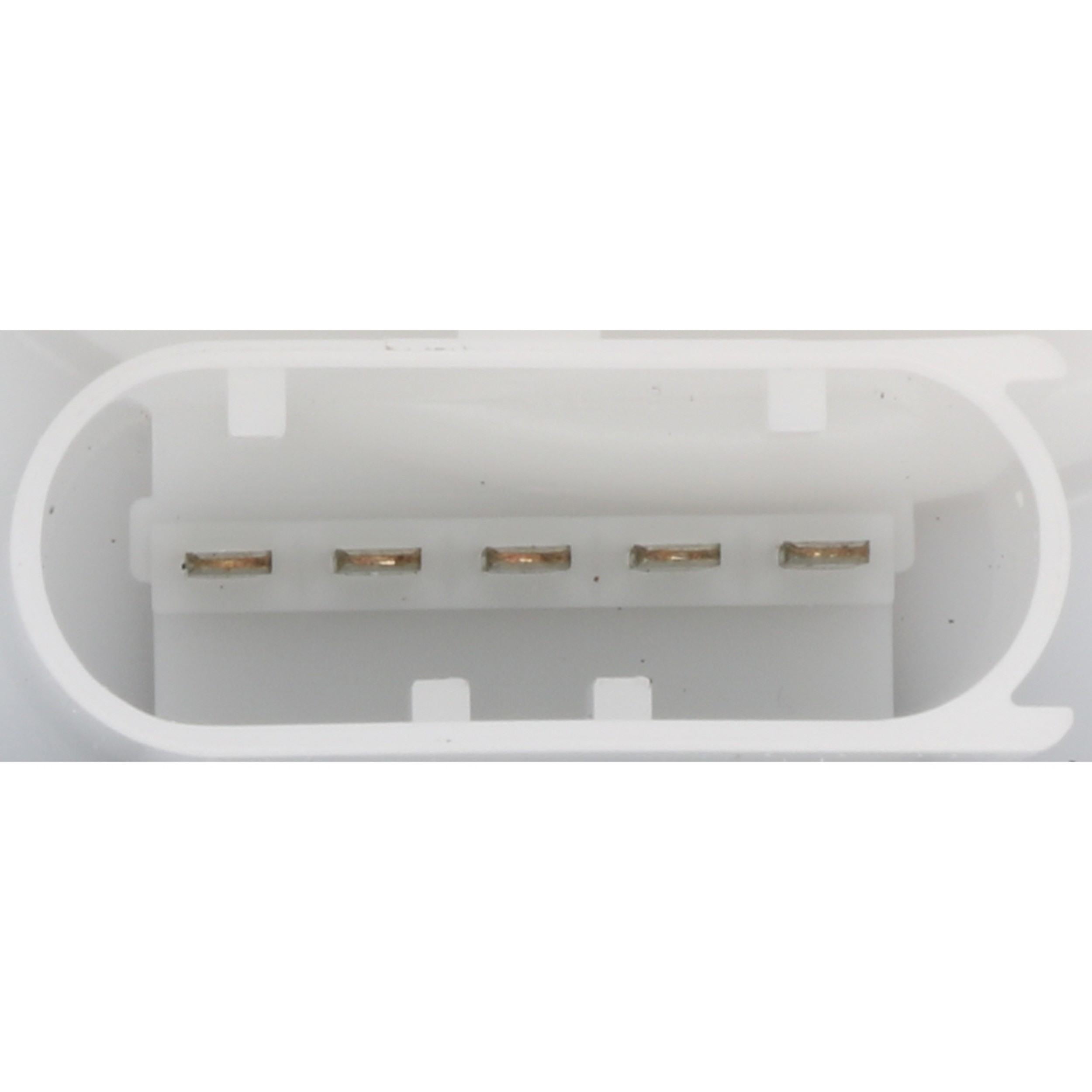 Continental Fuel Pump Module Assembly 228-242-010-006Z