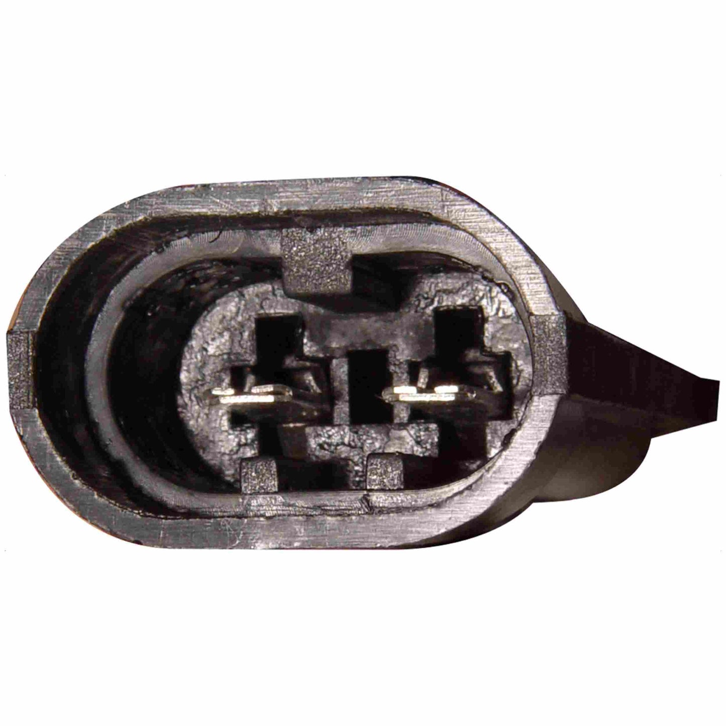 Continental HVAC Blower Motor PM123