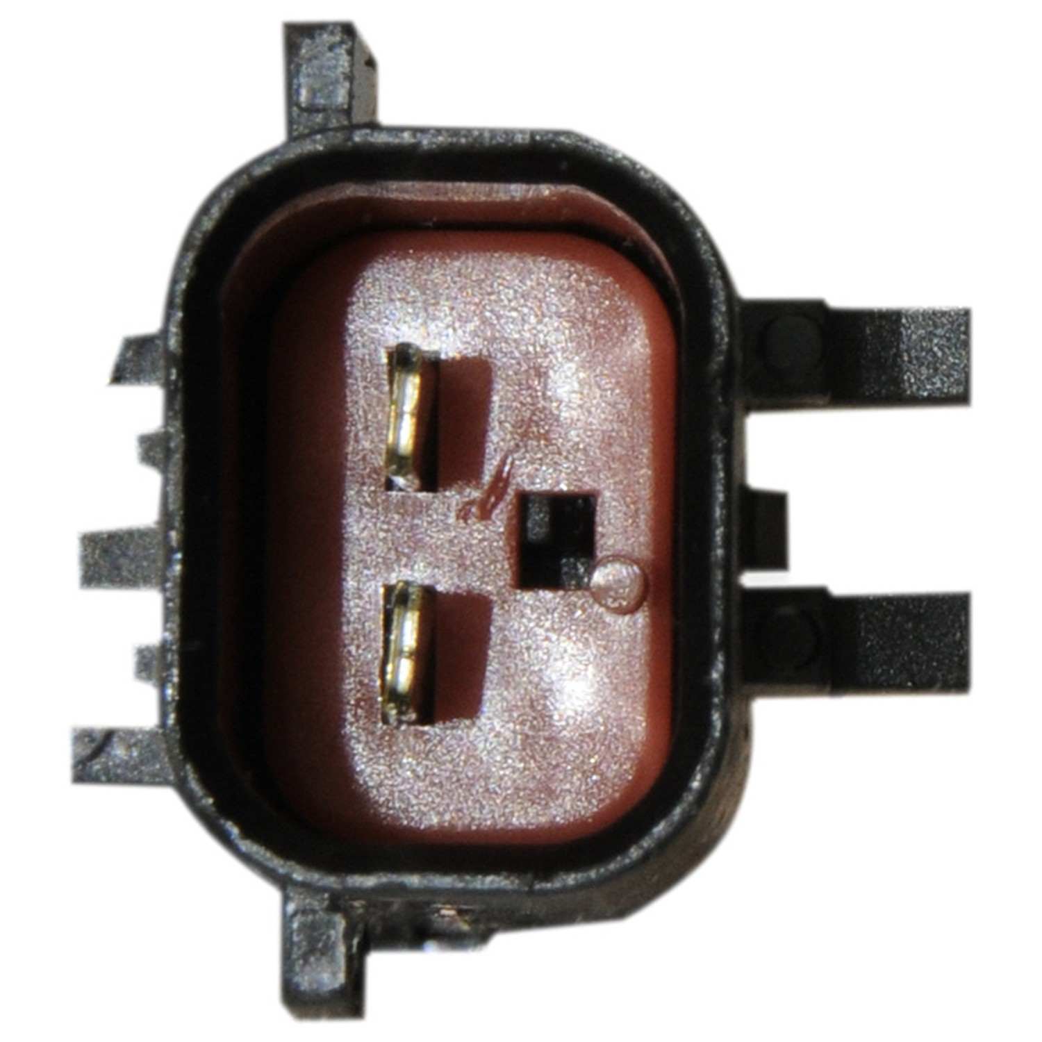 Continental Power Window Motor and Regulator Assembly WL41051