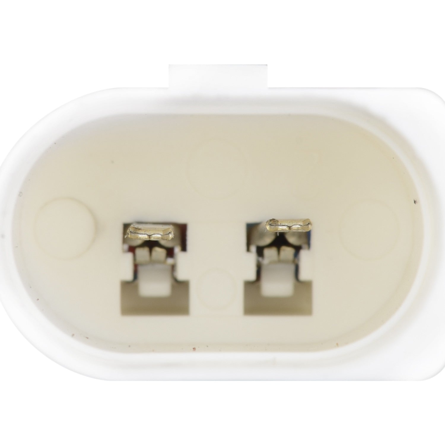 Continental Power Window Motor and Regulator Assembly WL41174