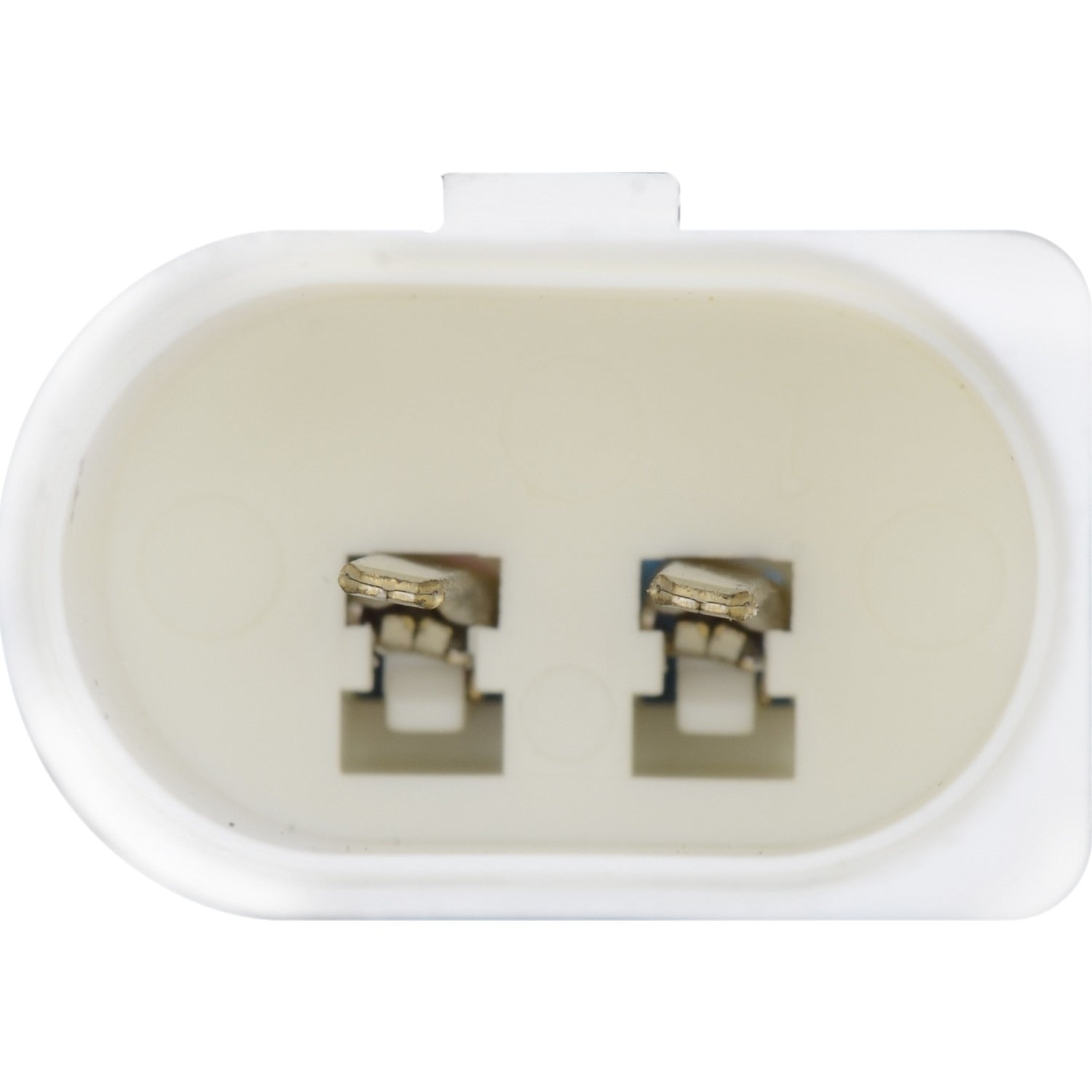 Continental Power Window Motor and Regulator Assembly WL41175