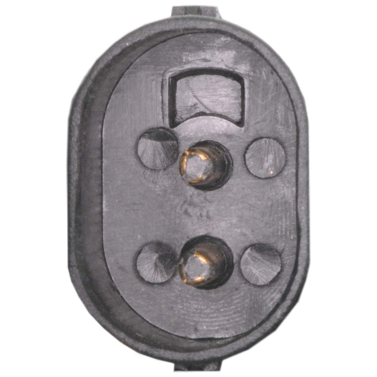 Continental Power Window Motor and Regulator Assembly WL41483