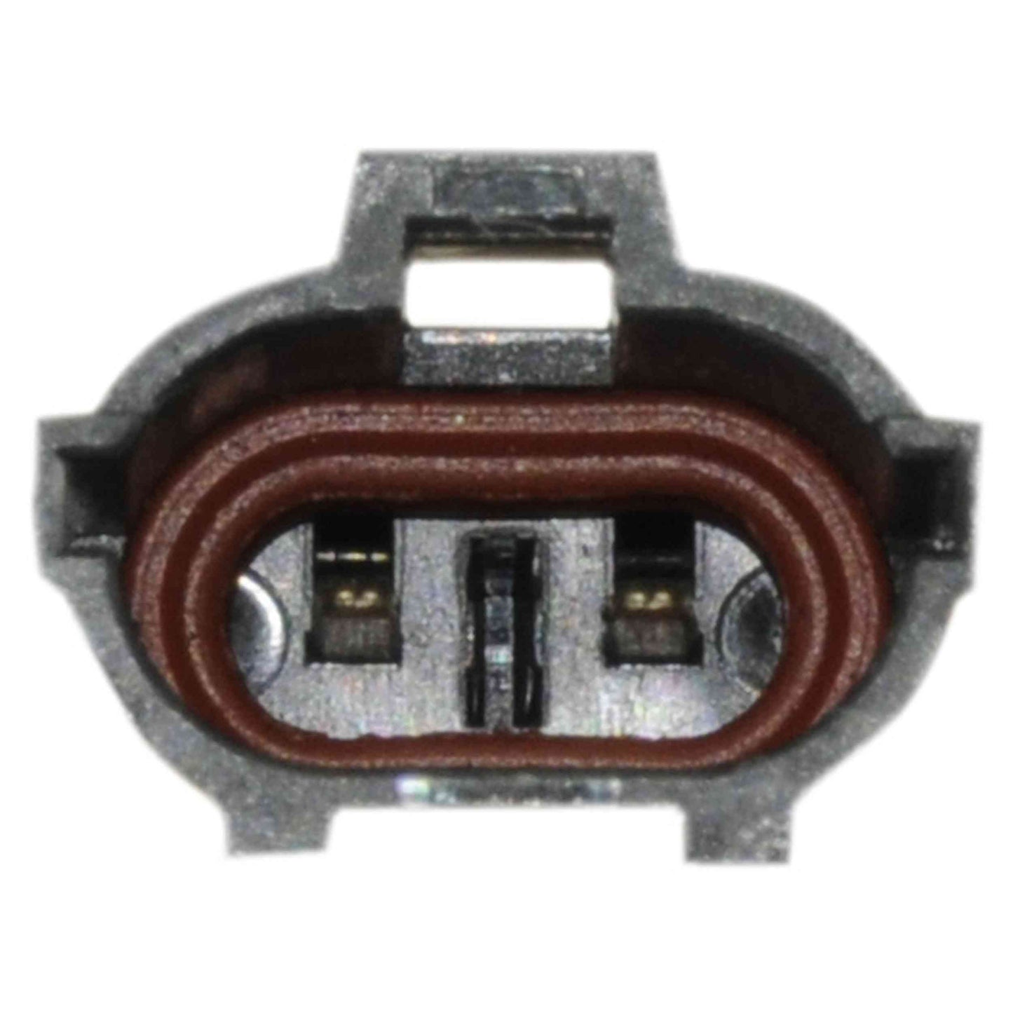 Continental Power Window Motor and Regulator Assembly WL44119