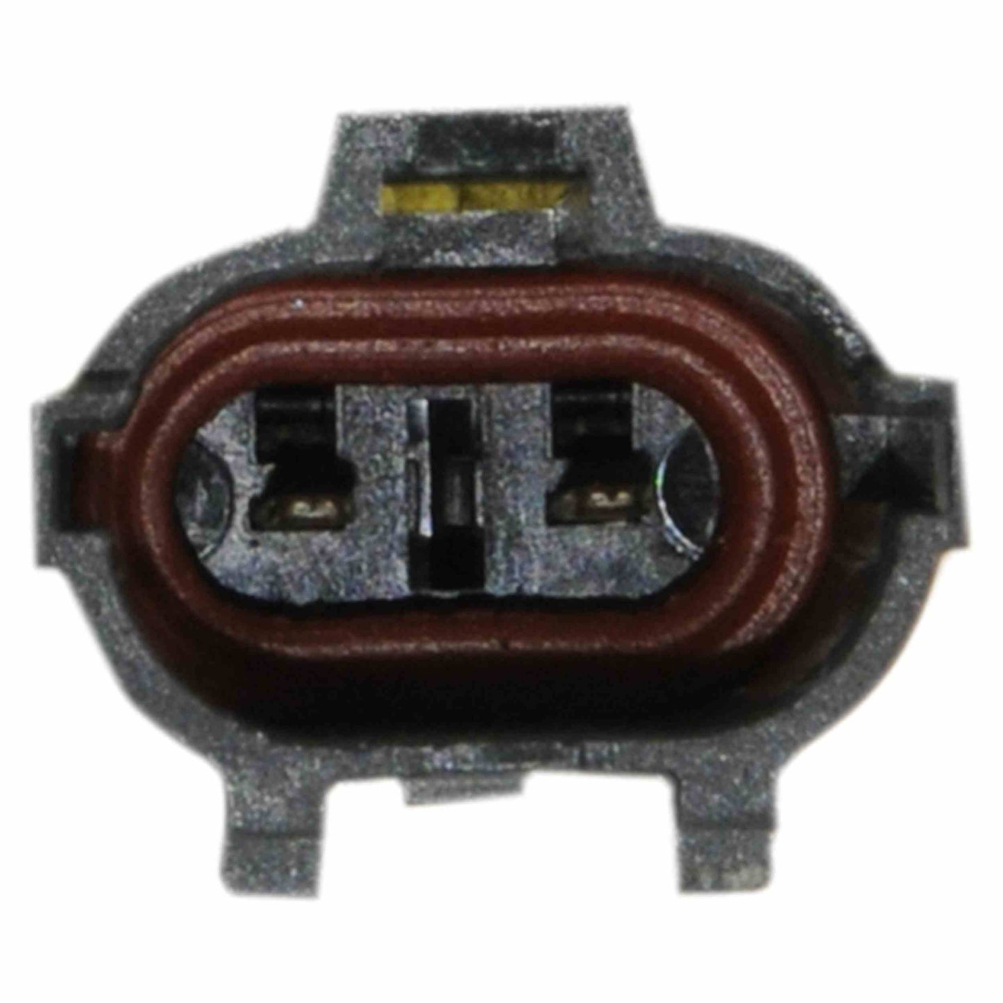 Continental Power Window Motor and Regulator Assembly WL44121