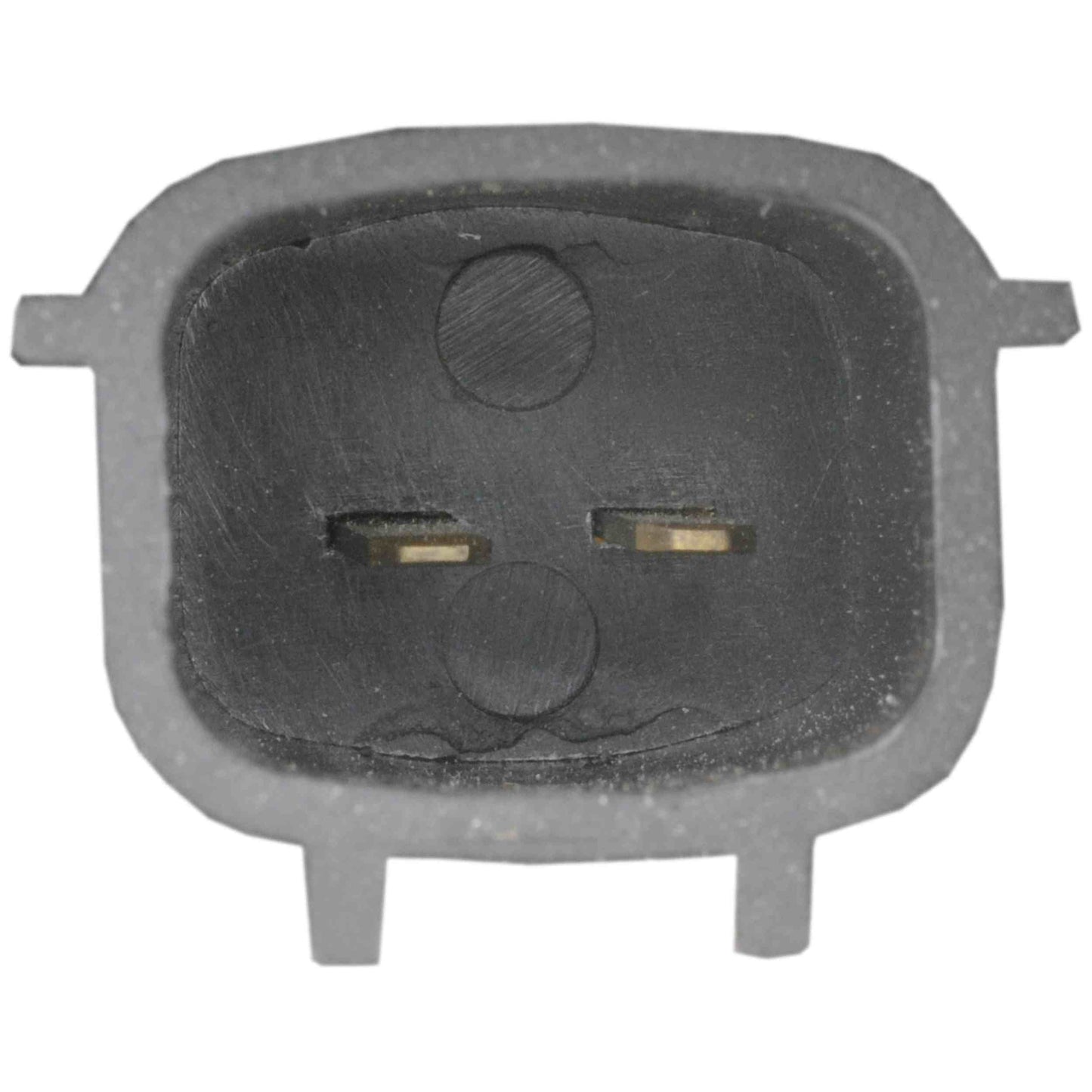 Continental Power Window Motor and Regulator Assembly WL44131