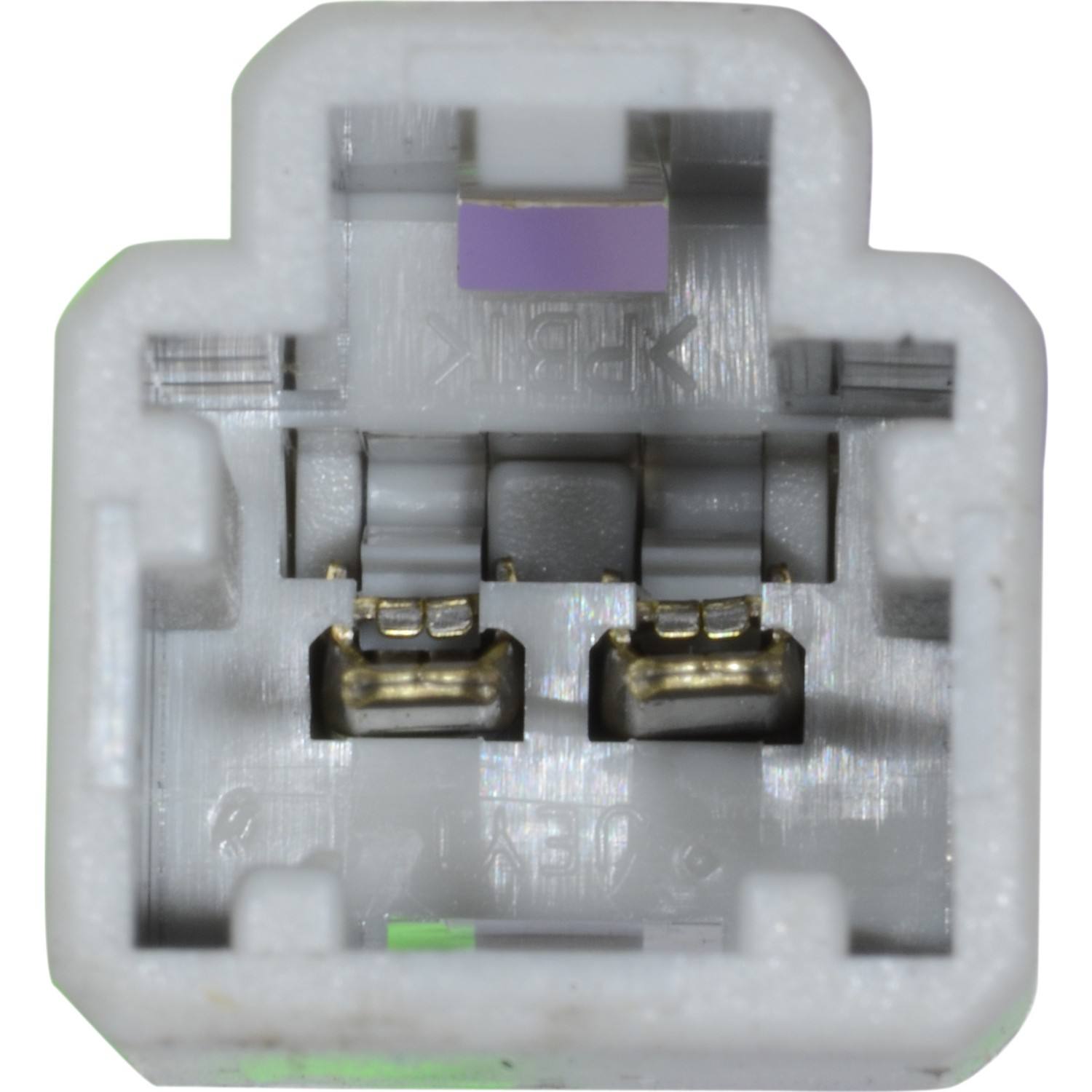 Continental Power Window Motor and Regulator Assembly WL44160