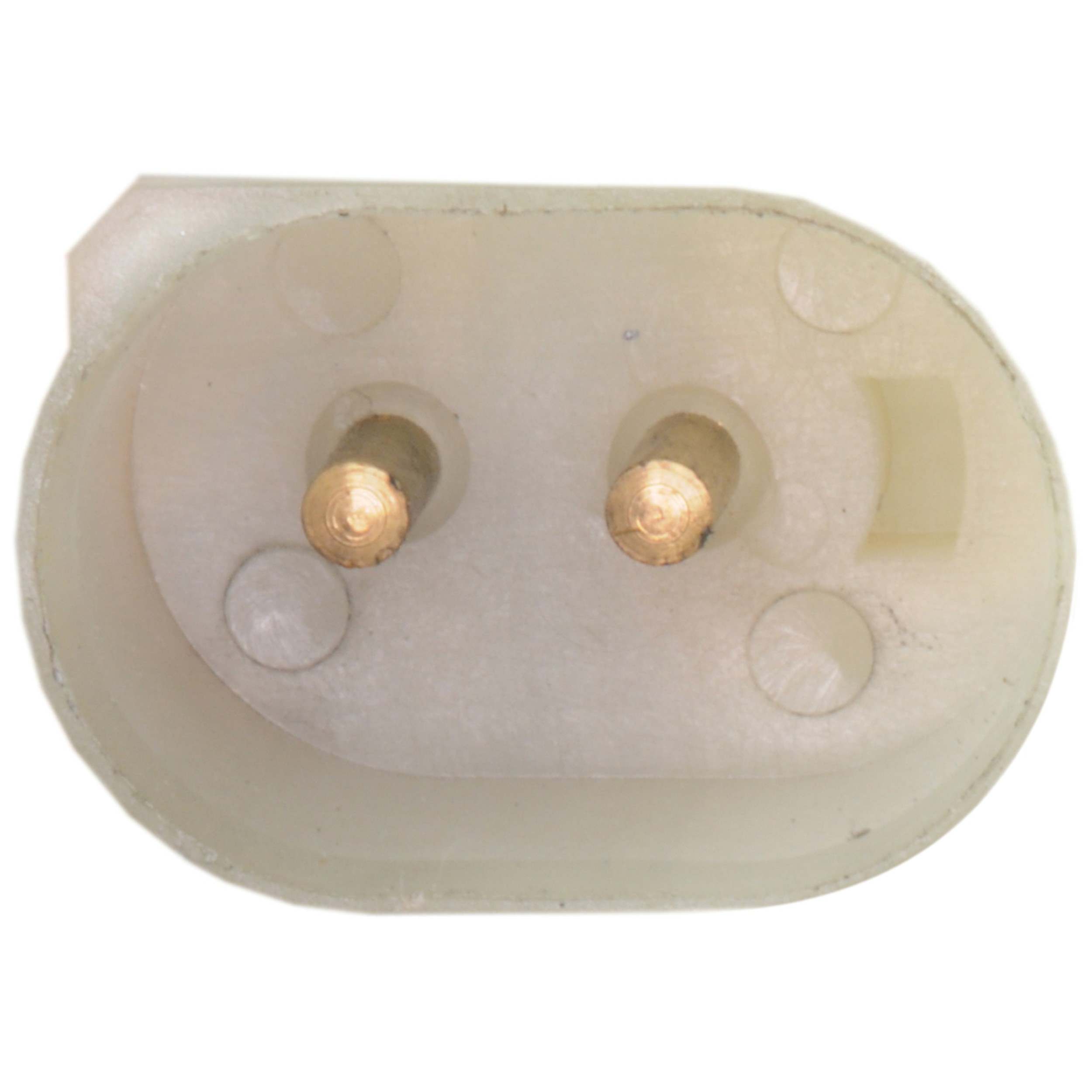 Continental Power Window Motor and Regulator Assembly WL44234