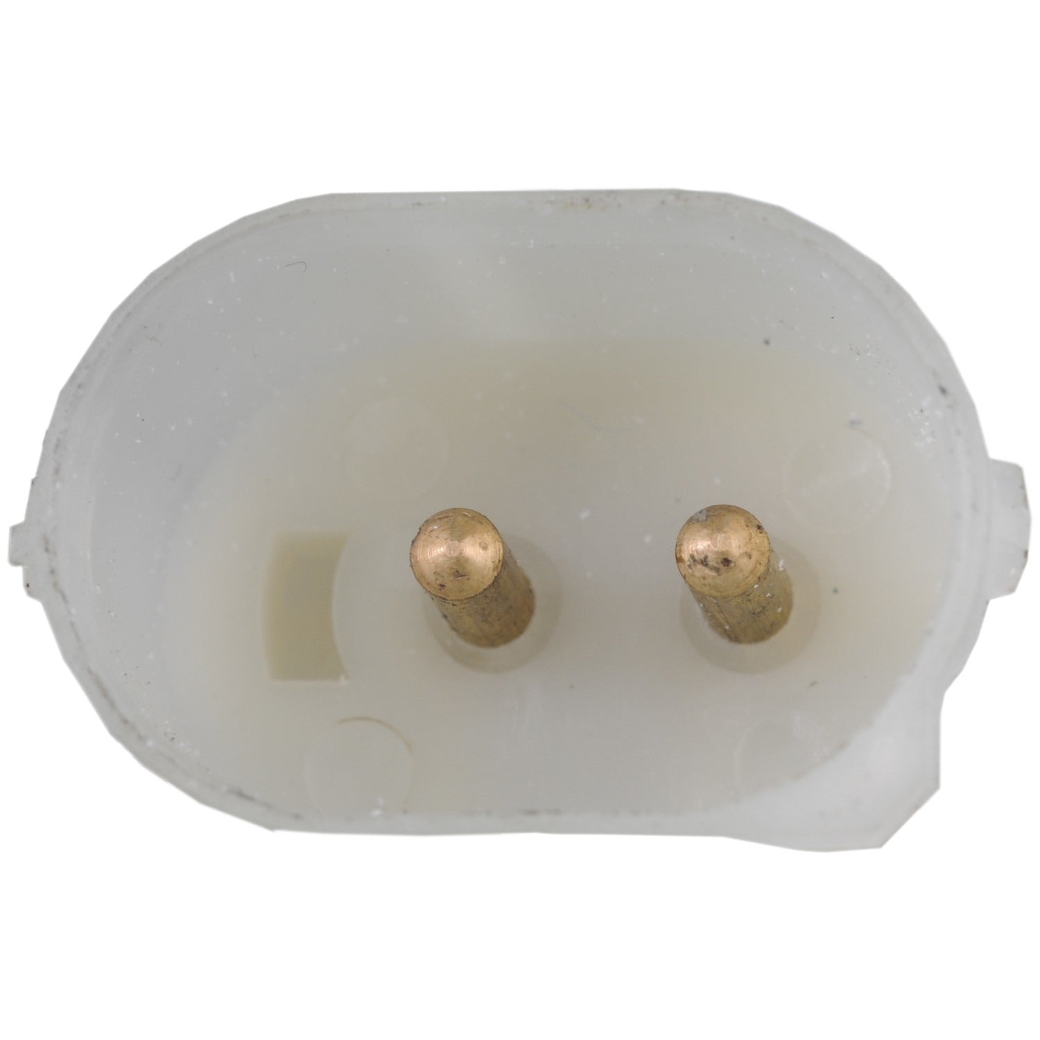 Continental Power Window Motor and Regulator Assembly WL44235