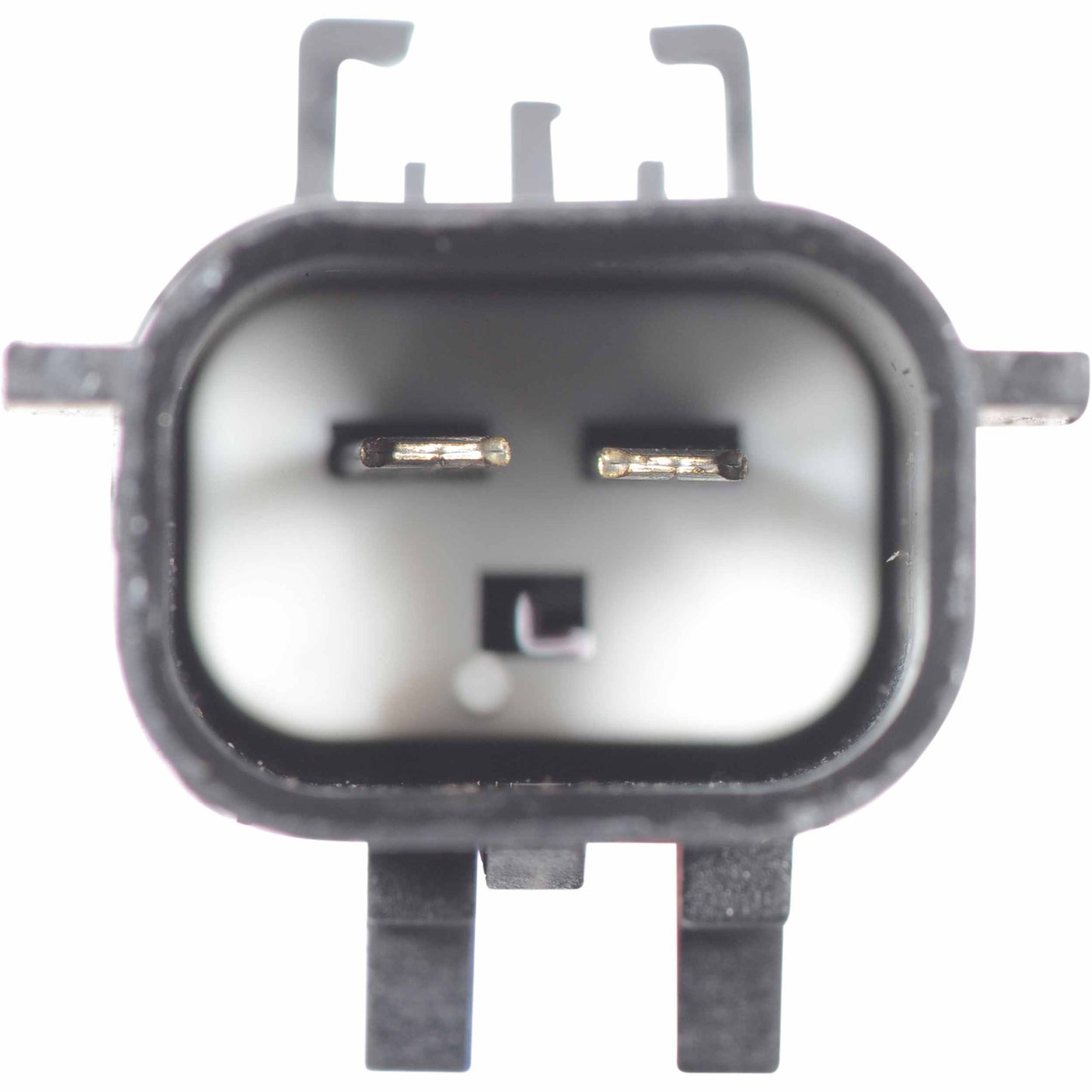 Continental Power Window Motor and Regulator Assembly WL48565