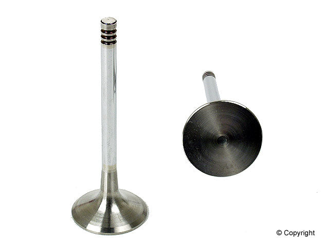 TRW Wheel Seal