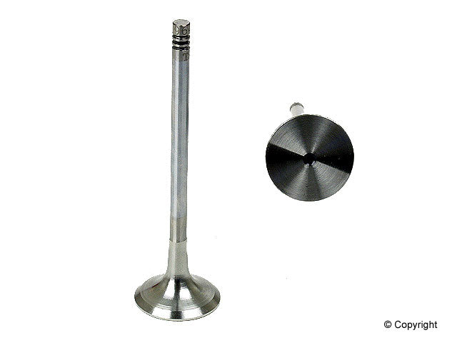 TRW Wheel Seal