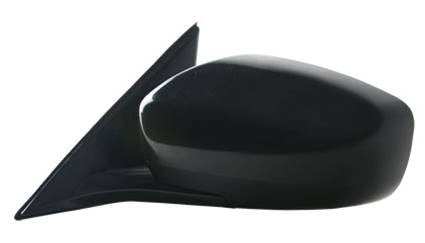 TYC Door Mirror 5550232