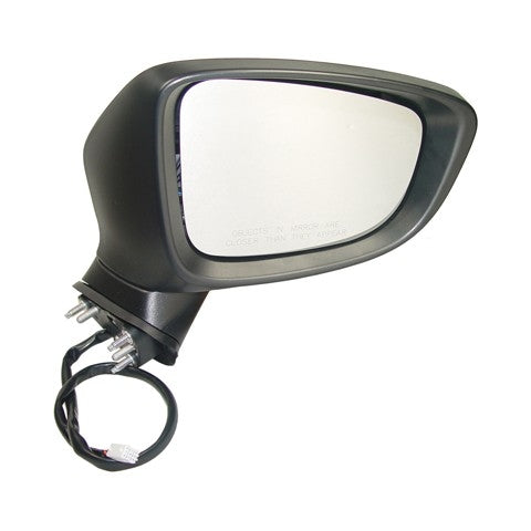 TYC Door Mirror 6110331