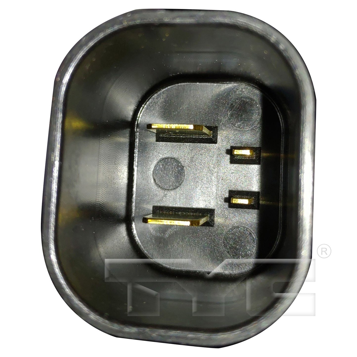 TYC 624680 image 4