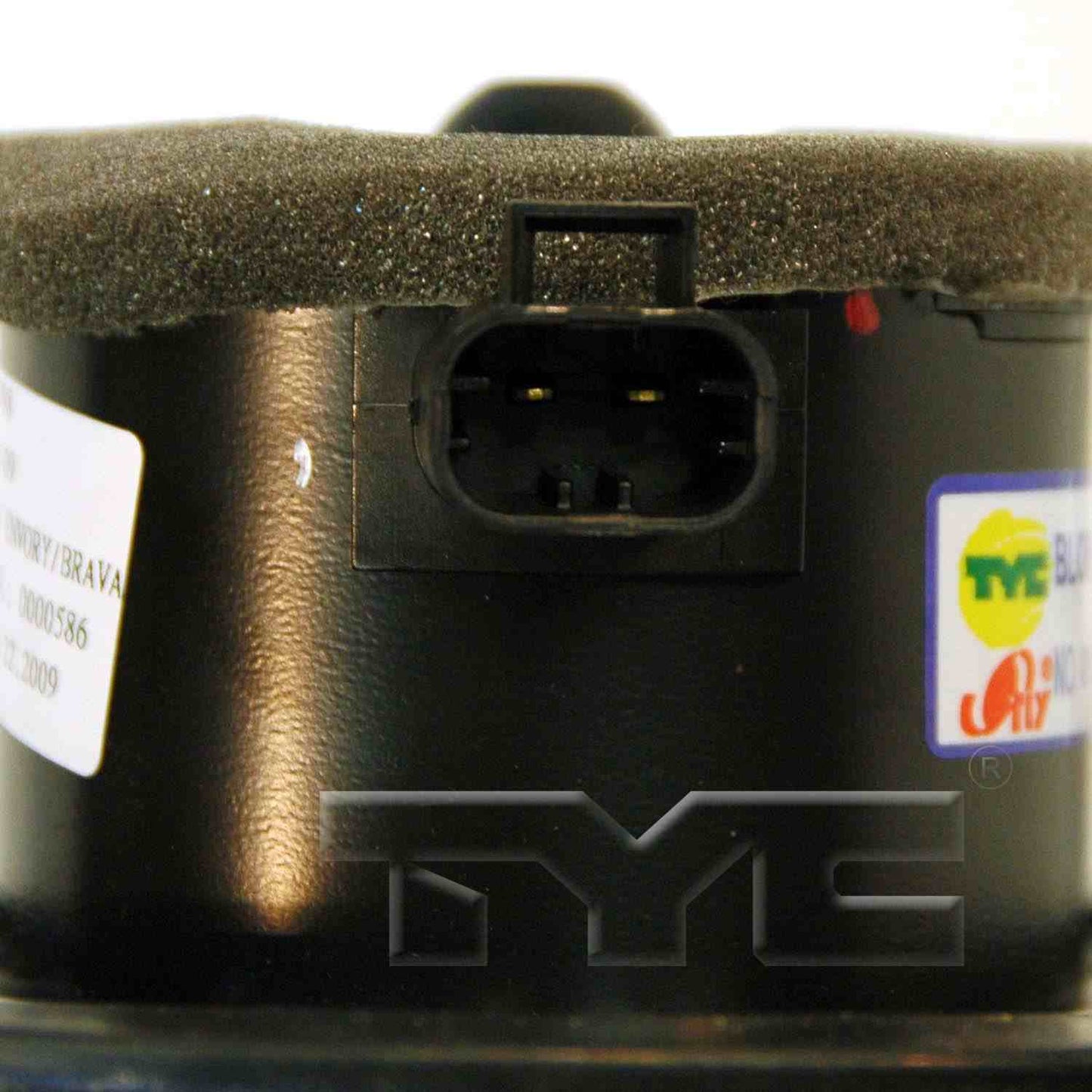 TYC 700109