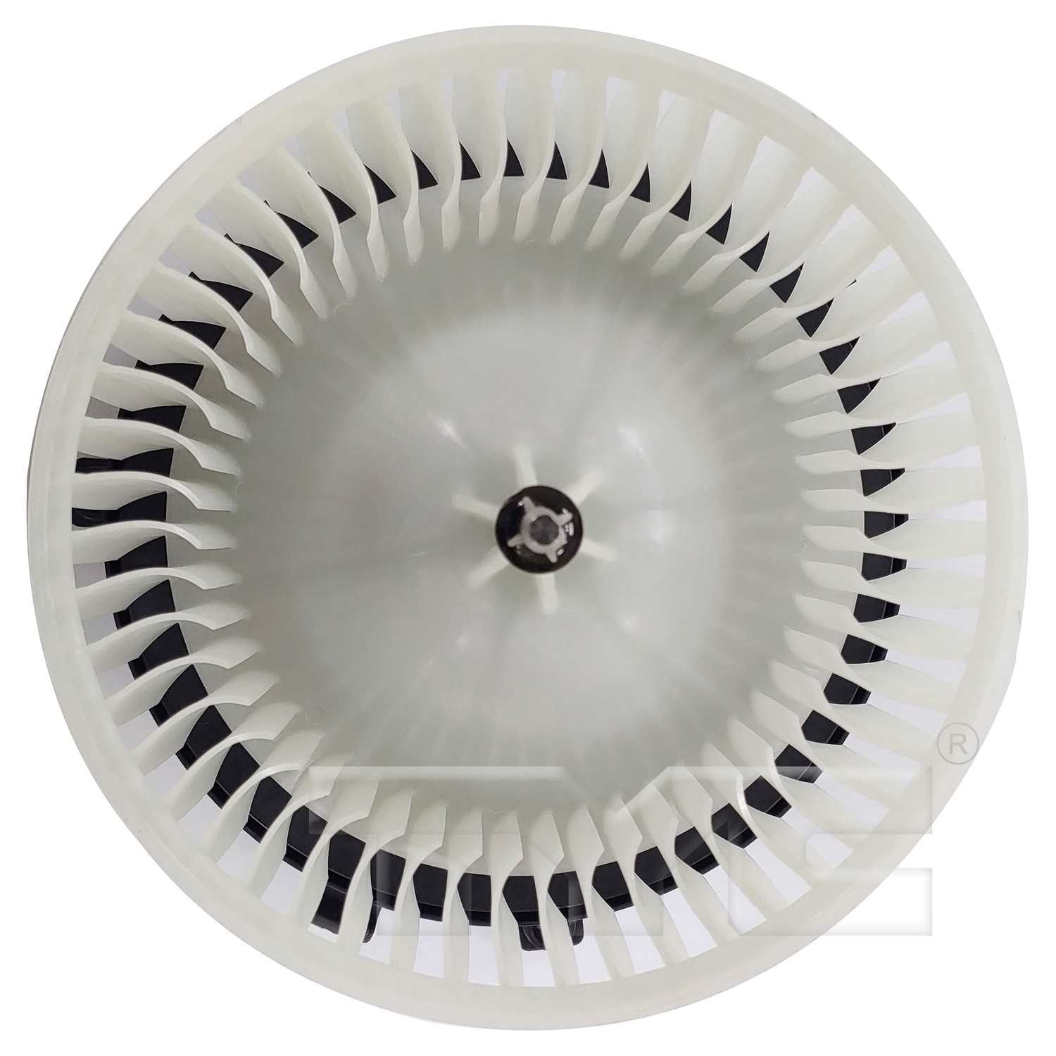 TYC 17-19 CR PAFCA BLM Front 700336