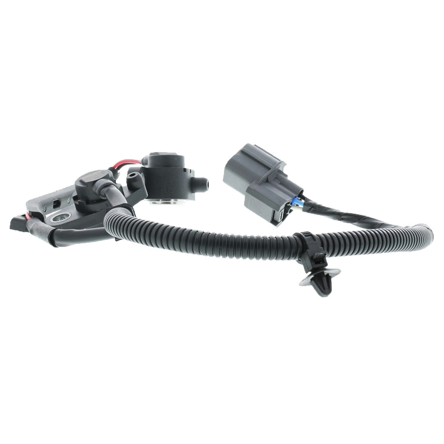 Motorad Engine Crankshaft Position Sensor 1KR137