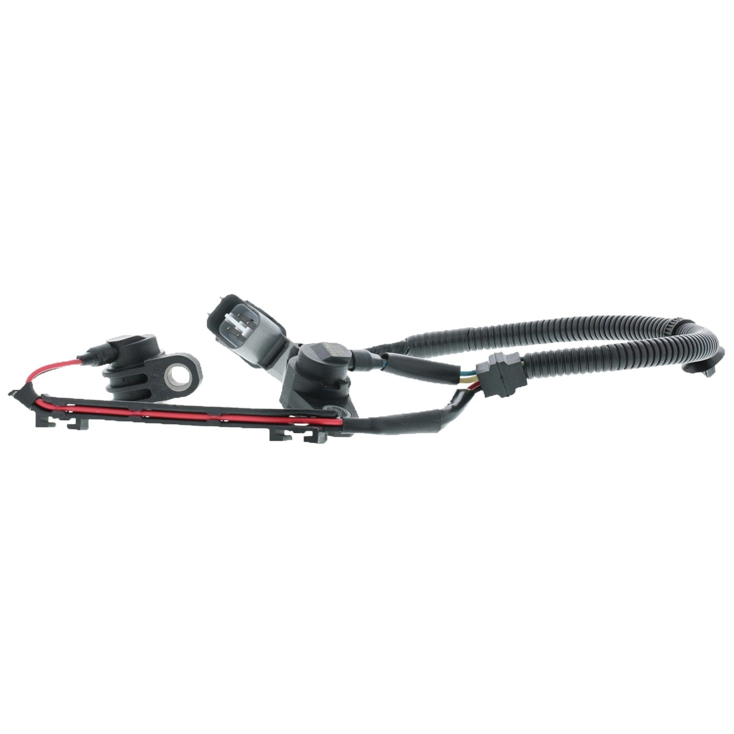 Motorad Engine Crankshaft Position Sensor 1KR137