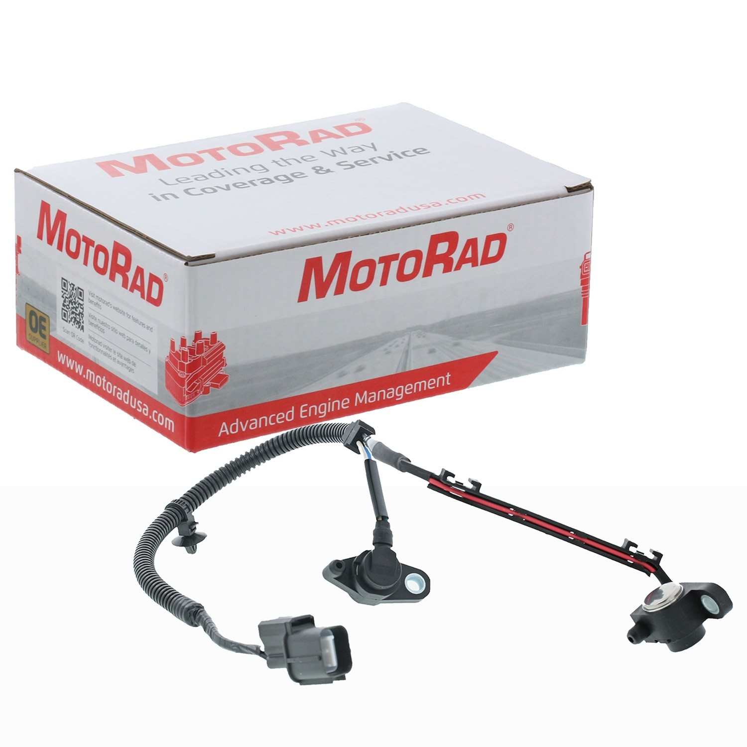 Motorad Engine Crankshaft Position Sensor 1KR137