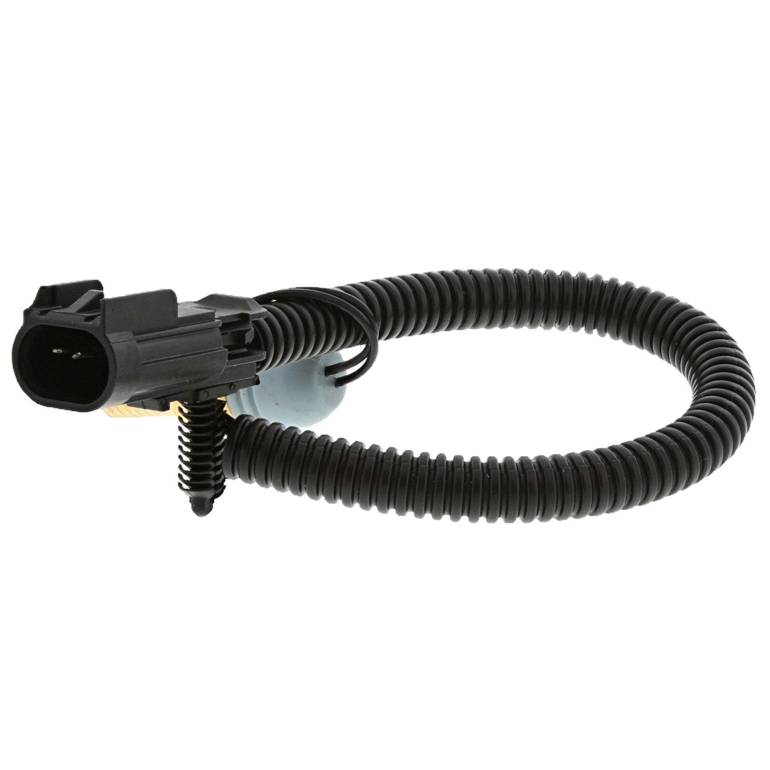 Motorad Engine Coolant Temperature Sensor 1TS1022