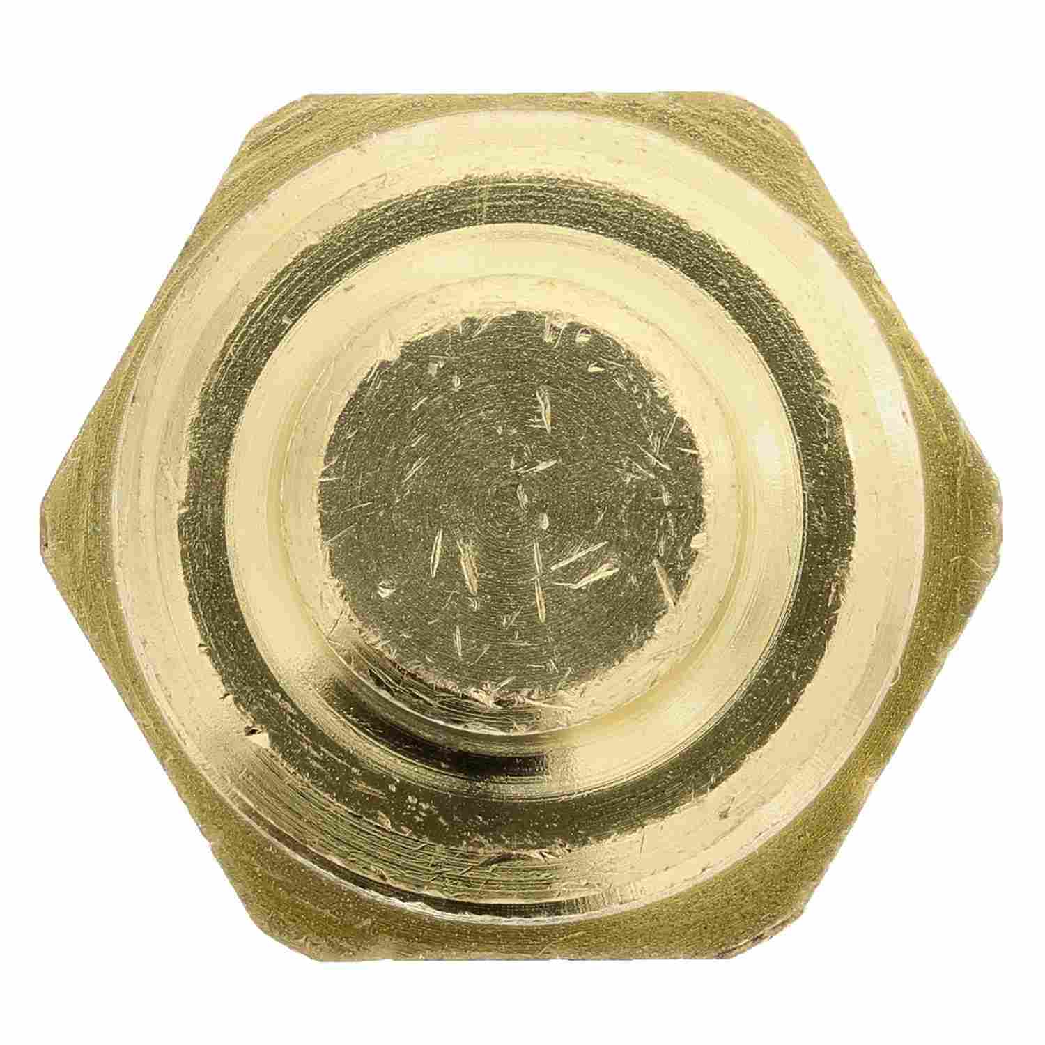 Motorad Engine Coolant Temperature Sensor 1TS1225