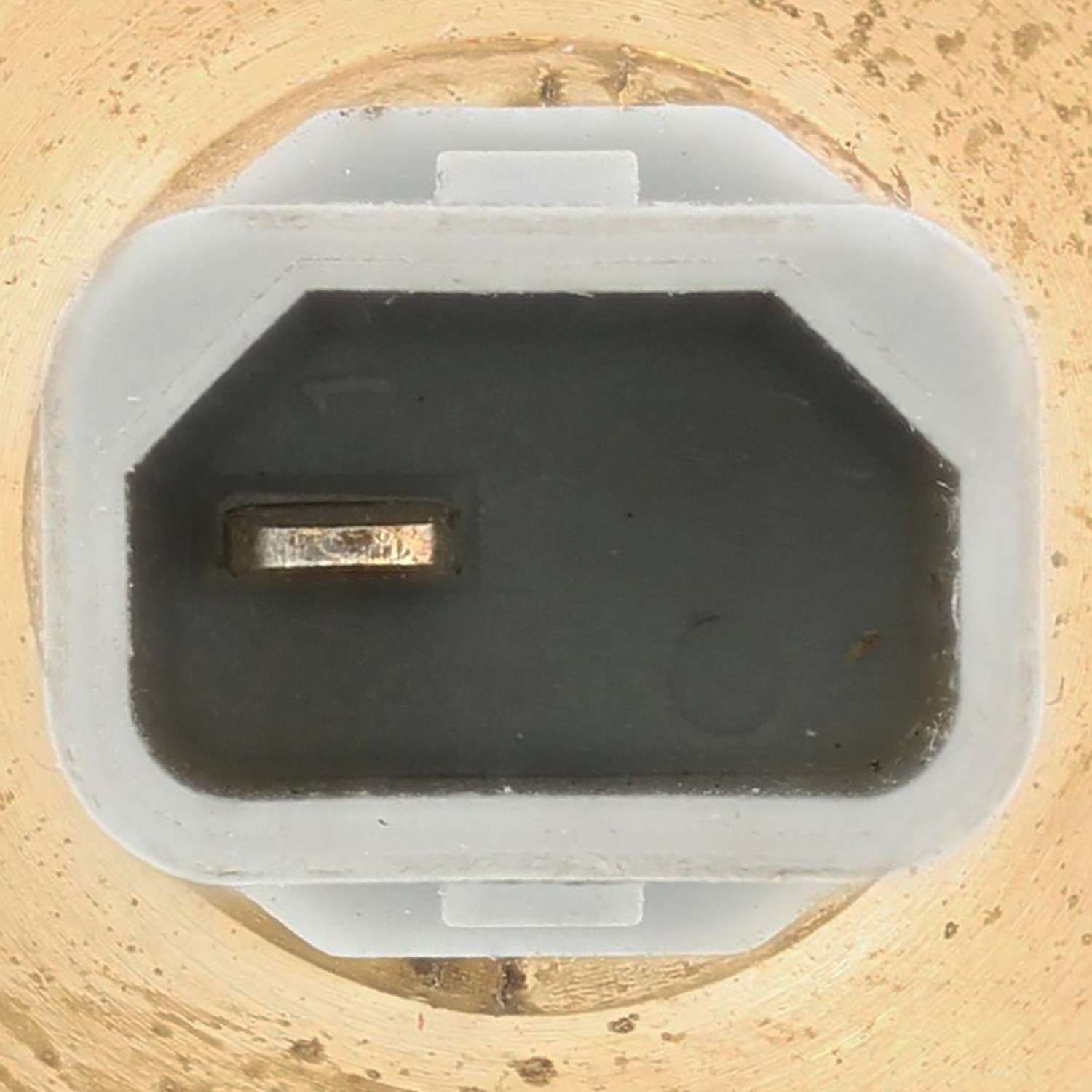 Motorad Engine Coolant Temperature Switch 1TS1251